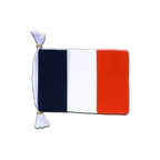 France Flag Bunting 6x9", 3 m