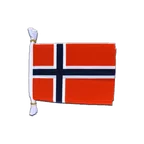Mini Guirlande fanion Norvège 15 x 22 cm, 3 m