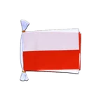 Mini Guirlande fanion Pologne 15 x 22 cm, 3 m
