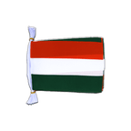 Hungary Flag Bunting 6x9", 3 m
