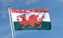 Wales CYMRU - Flagge 90 x 150 cm
