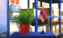 Arménie - Mini drapeau de table 10 x 15 cm