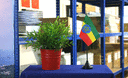 Äthiopien mit Stern - Tischflagge 10 x 15 cm