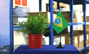Brésil - Mini drapeau de table 10 x 15 cm