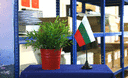 Bulgarie - Mini drapeau de table 10 x 15 cm