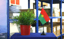 Burkina Faso - Tischflagge 10 x 15 cm