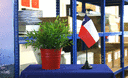 Chili - Mini drapeau de table 10 x 15 cm