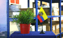 Équateur - Mini drapeau de table 10 x 15 cm