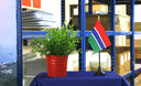 Gambie - Mini drapeau de table 10 x 15 cm