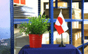 Groenland - Mini drapeau de table 10 x 15 cm