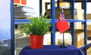 Red Ensign - Mini drapeau de table 10 x 15 cm