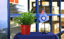 Royal Airforce - Table Flag 4x6"