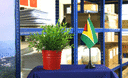 Guyana - Mini drapeau de table 10 x 15 cm