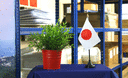 Japon Mini drapeau de table 10 x 15 cm