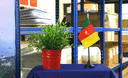 Kamerun - Tischflagge 10 x 15 cm