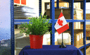 Canada Mini drapeau de table 10 x 15 cm