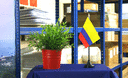 Colombie - Mini drapeau de table 10 x 15 cm