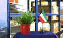 Koweït - Mini drapeau de table 10 x 15 cm