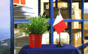 Malte - Mini drapeau de table 10 x 15 cm