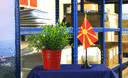 Macédoine - Mini drapeau de table 10 x 15 cm
