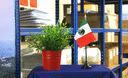 Mexiko - Tischflagge 10 x 15 cm