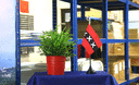 Amsterdam - Tischflagge 10 x 15 cm