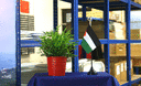 Palästina Tischflagge 10 x 15 cm
