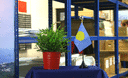 Palaos - Mini drapeau de table 10 x 15 cm