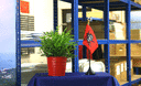 Pirate rouge - Mini drapeau de table 10 x 15 cm