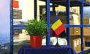 Roumanie - Mini drapeau de table 10 x 15 cm