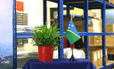 Îles Salomon - Mini drapeau de table 10 x 15 cm