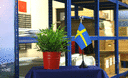 Schweden - Tischflagge 10 x 15 cm