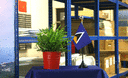 Sainte Lucie - Mini drapeau de table 10 x 15 cm