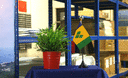 Saint Vincent et les Grenadines - Mini drapeau de table 10 x 15 cm