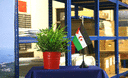 Western Sahara - Table Flag 4x6"