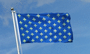 Lilienwappen, blau - Flagge 90 x 150 cm