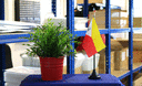 Îles Marquises - Mini drapeau de table 10 x 15 cm