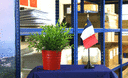 Acadie - Mini drapeau de table 10 x 15 cm
