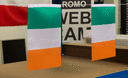 Irland - Satin Flagge 15 x 22 cm