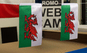 Wales - Satin Flagge 15 x 22 cm