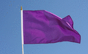 Purple - Hand Waving Flag 12x18"