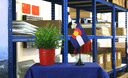 Colorado - Mini drapeau de table 10 x 15 cm