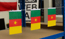 Cameroun - Fanion 10 x 15 cm