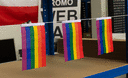 Rainbow - Mini Flag 4x6"