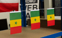 Senegal - Fähnchen 10 x 15 cm