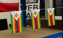 Zimbabwe - Mini Flag 4x6"