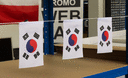 Corée du Sud - Fanion 10 x 15 cm