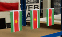 Suriname - Mini Flag 4x6"