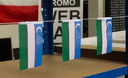 Uzbekistan - Mini Flag 4x6"