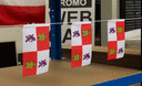 Castile and León - Mini Flag 4x6"